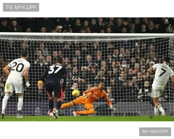 富勒姆亟需强势反弹,摆脱降级区困境刻不容缓 富勒姆亟需强势反弹,摆脱降级区困境刻不容缓